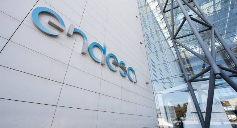 Endesa y su ritmo moderado de crecimiento