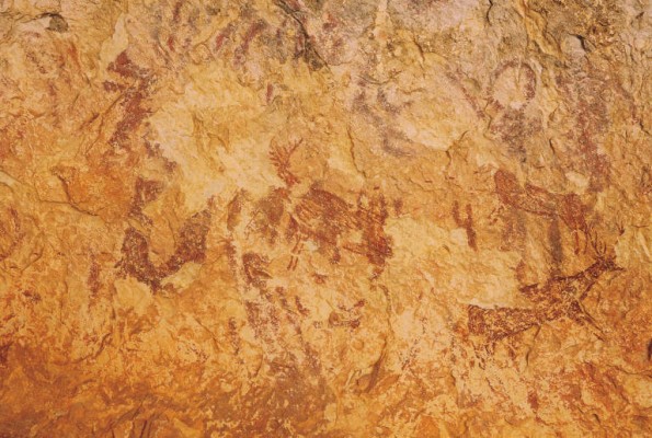 El cambio climático probablemente llevó a las primeras especies humanas a la extinción
