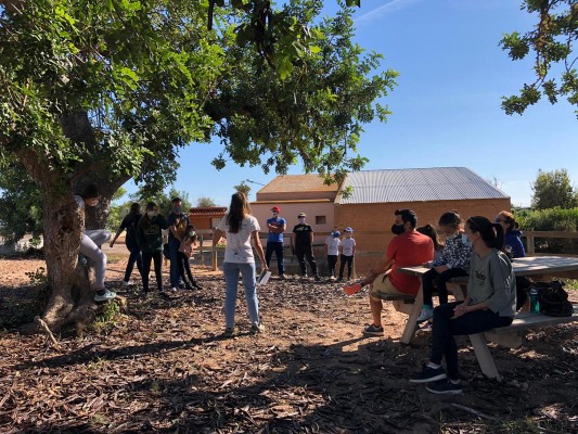 Castelló celebra el Dia Mundial dels Ocells amb un taller de caixes niu en el Molí la Font