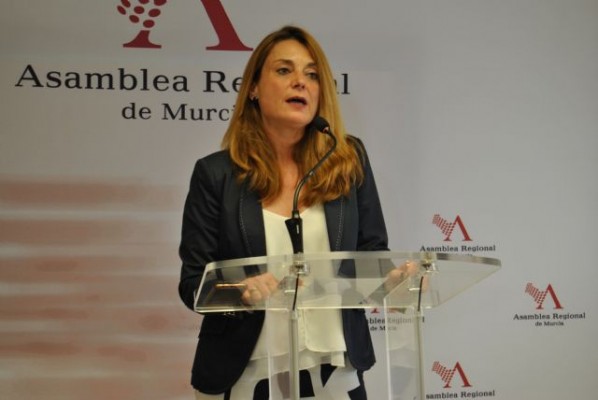 El PSOE lamenta el 