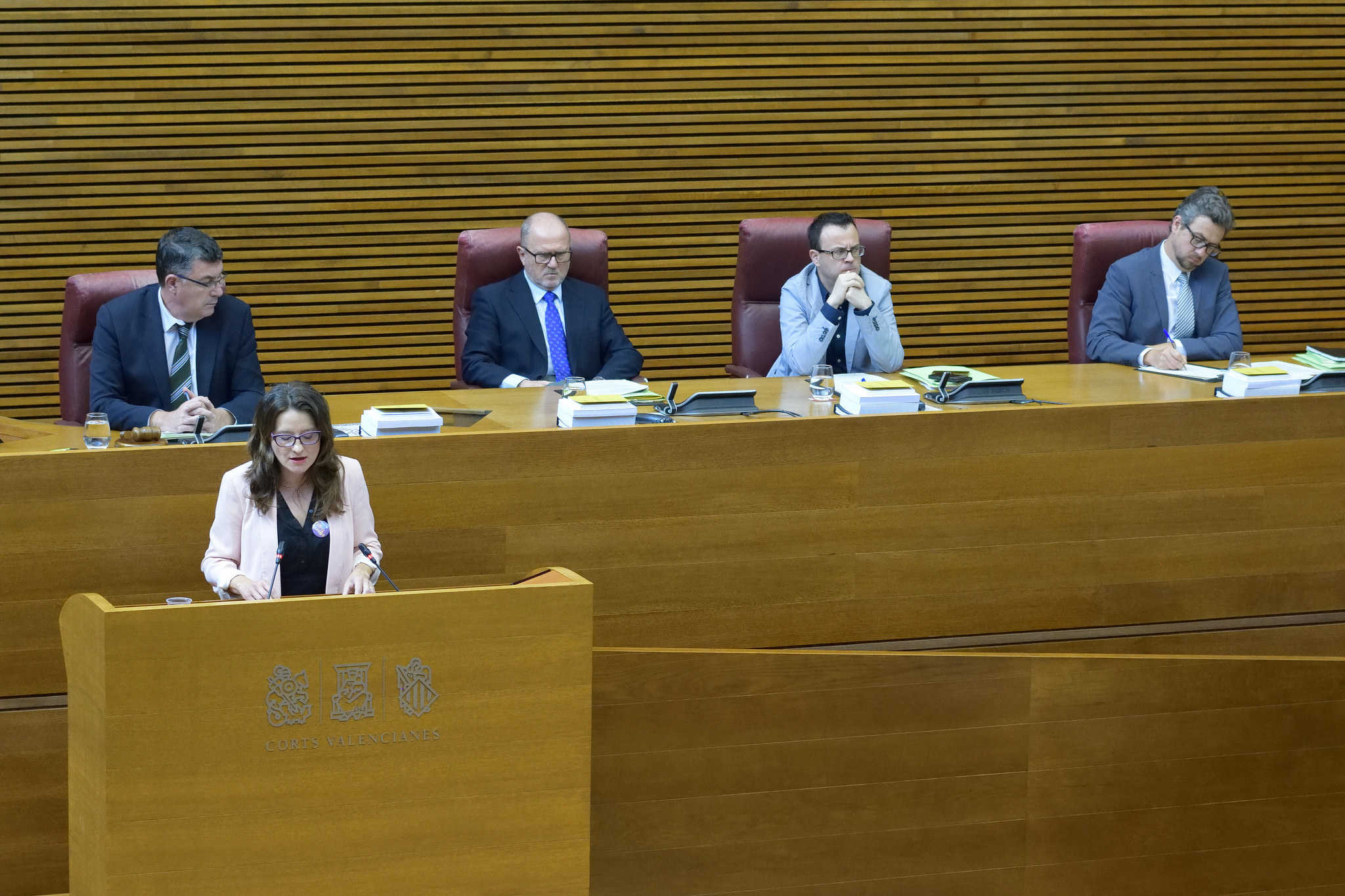 Mónica Oltra, consellera de Igualdad - 