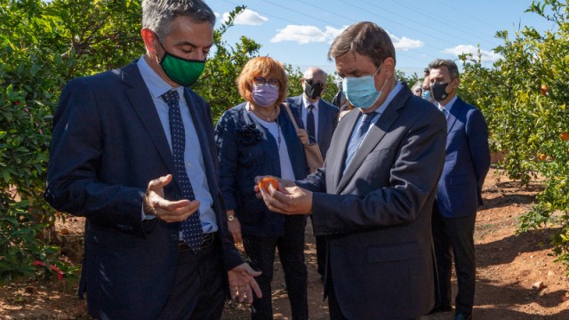 Planas prevé una campaña citrícola 