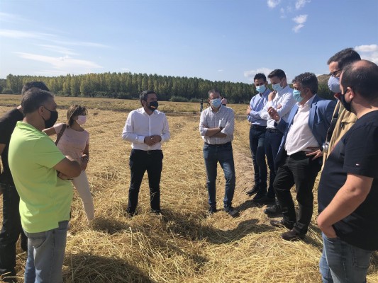 La cosecha de la DO Arroz Calasparra crecerá un 20%: se esperan más de 3 millones de kilos