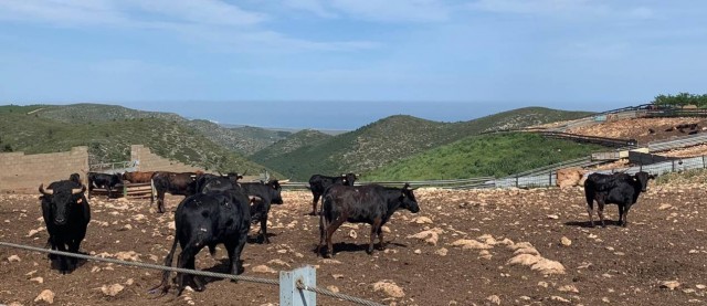  La Unió denuncia que la Conselleria de Agricultura aporta menos del 3% de sus ayudas por la covid-19