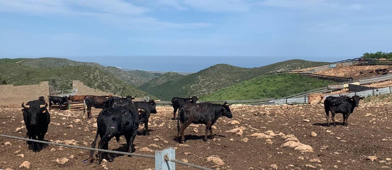  La Unió denuncia que la Conselleria de Agricultura aporta menos del 3% de sus ayudas por la covid-19