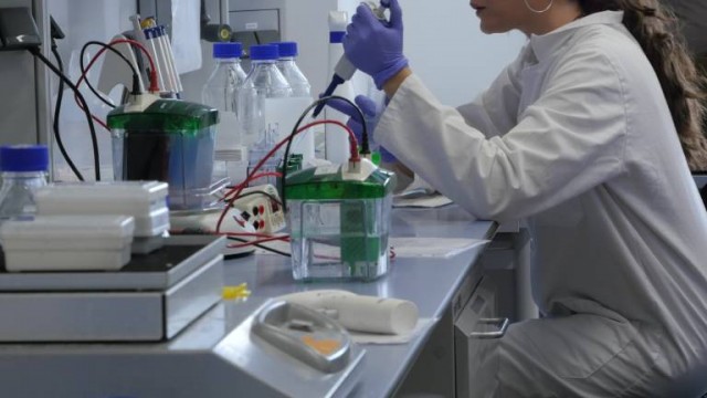 Doce instituciones murcianas y valencianas destacan la figura de la mujer en la investigación mediterránea 