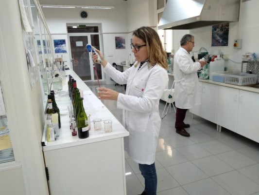 La Fundación Séneca convoca ayudas para contratar a 19 jóvenes doctores y gestores

