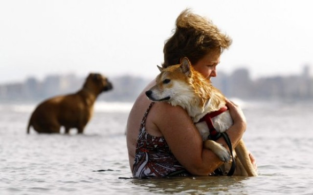  Reabre la playa canina del Grau hasta final de febrero