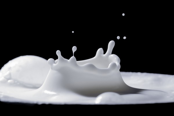 La vida es leche
