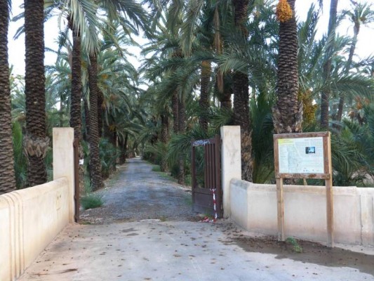 La rehabilitación de la ruta del Palmeral de Elche queda fuera de las ayudas Unesco por falta de presupuesto