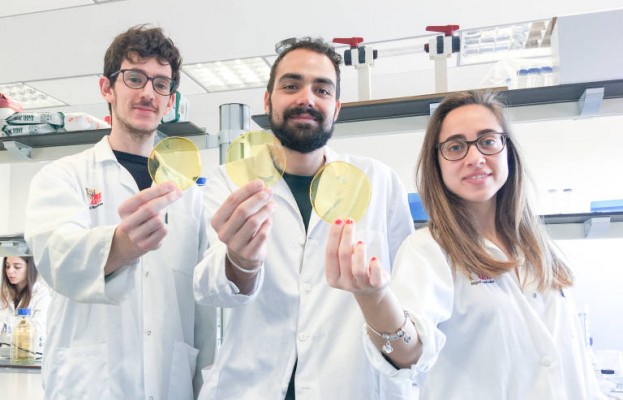 La ilicitana Oscillum, semifinalista del Premio Everis España 2020 al emprendimiento