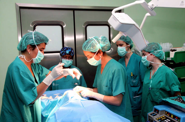 Sanidad suspende las prácticas en los hospitales de la provincia de Valencia durante diez días