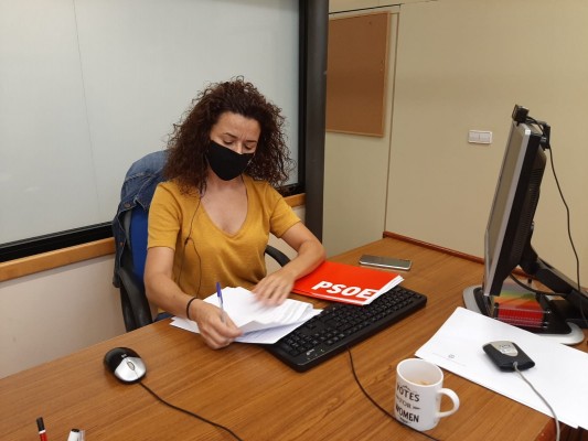 El PSOE pide que se convoque el Consejo Local de Igualdad en Alicante