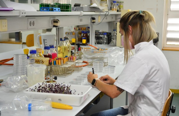 La UPCT registra el mayor número de matriculaciones de su historia: se recuperan las vocaciones tecnológicas