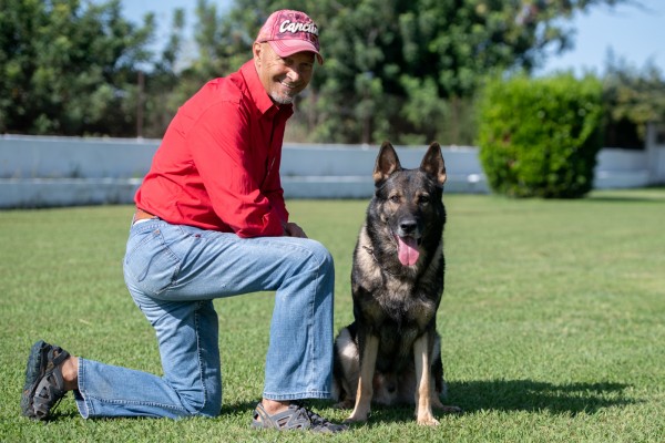 Una vida de perros
