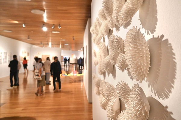 El Consorci de Museus presenta en Castelló les noves obres d'art contemporani de la Generalitat