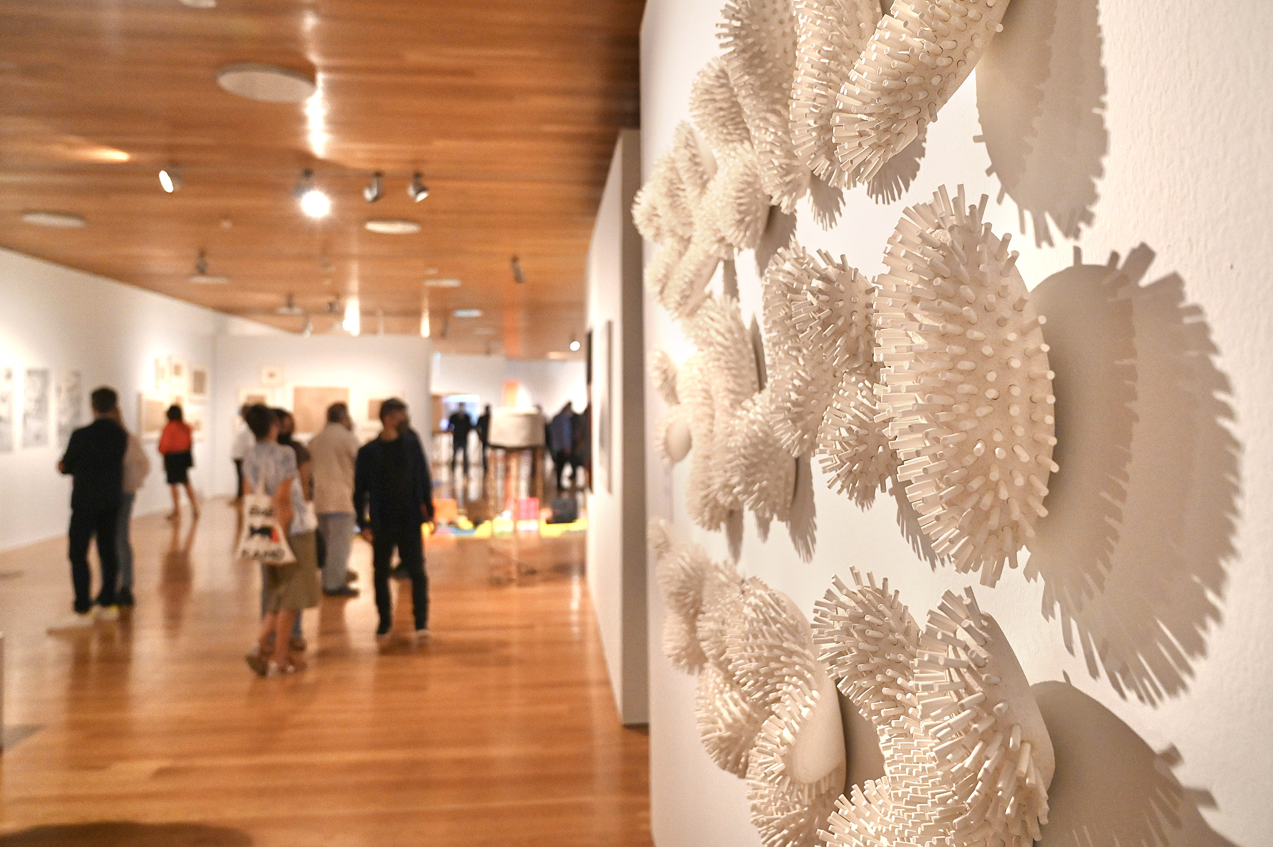 El Consorci de Museus presenta en Castelló les noves obres d'art contemporani de la Generalitat