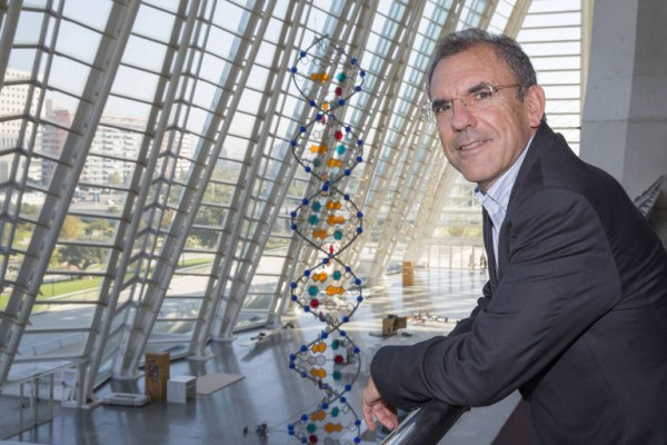 Cacsa reduce pérdidas en 2019 y recorta 9,7 millones en inversiones por la covid
