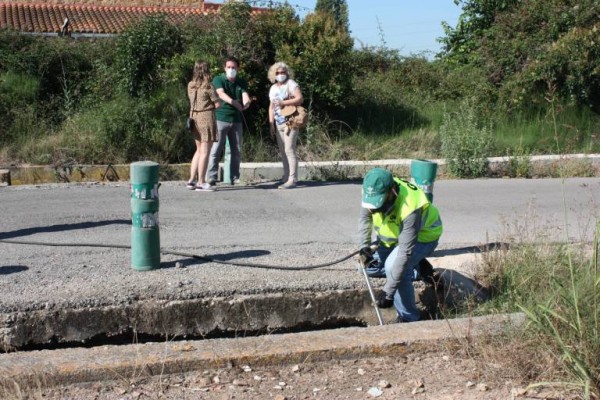 Castelló avanza en la lucha contra el mosquito: GPM Servi se postula para el contrato de tres años
