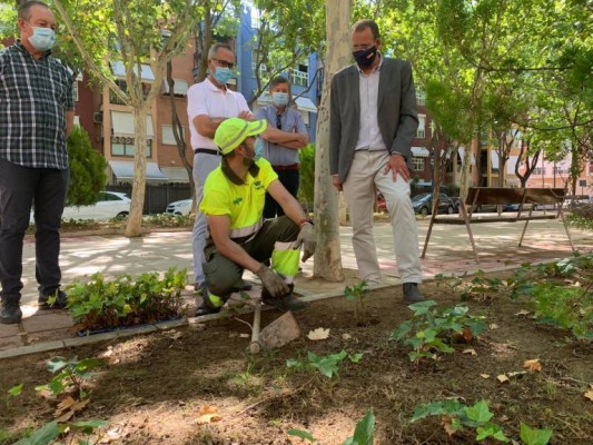 Murcia apuesta al verde con proyectos para que el medio ambiente tome su lugar
