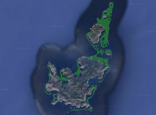 Dos 'startups' se unen para aportar una cartografía interactiva de las praderas de posidonia oceánica