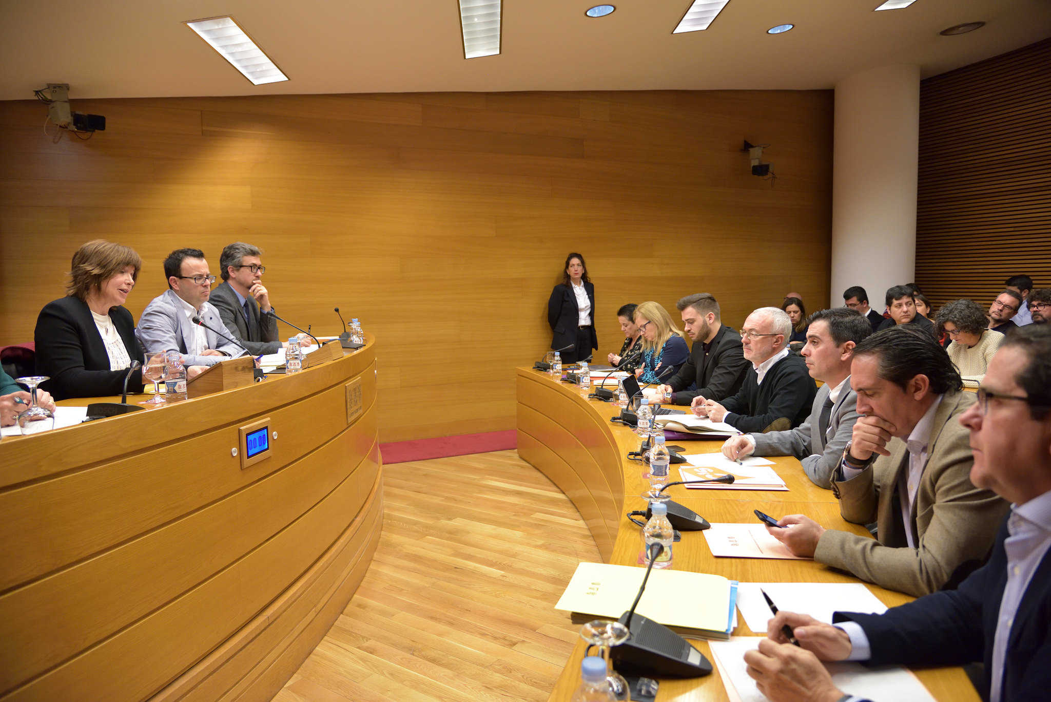 La directora general de la CVMC, Empar Marco, en su comparecencia en Les Corts. Foto: CORTS - 