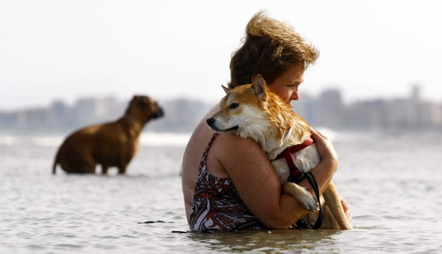 La Comunitat y Cataluña son las dos regiones de España con más playas que admiten perros