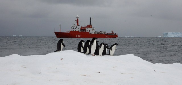 El control de estabilidad en la Antártida revela un alto riesgo de aumento del nivel del mar
