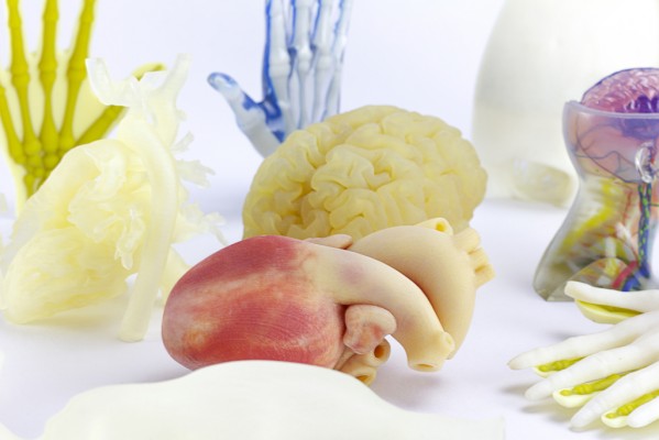 Aiju presenta un servicio de impresión 3D para replicar órganos pionero en Europa