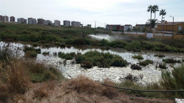 Benicàssim continúa con el tratamiento anti mosquitos en agua estancada 