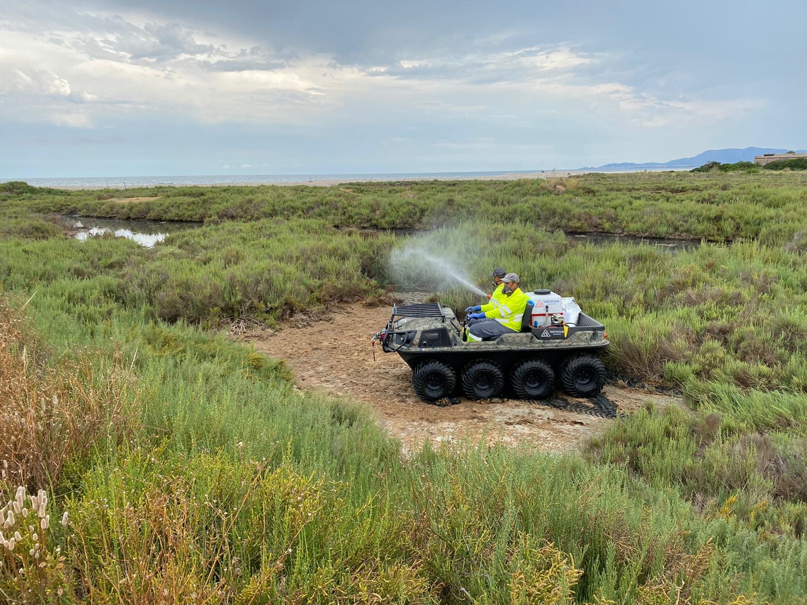 Lokímica afianza su liderazgo en la lucha contra las plagas y la desinfección en el año de la covid-19