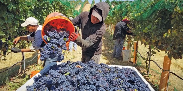 La ETT vila-realense Laboral Terra, condenada en Francia por explotación laboral