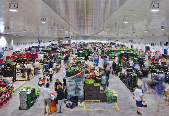 Galiana deja en manos de Mercavalència la lonja y el matadero para flexibilizar su explotación