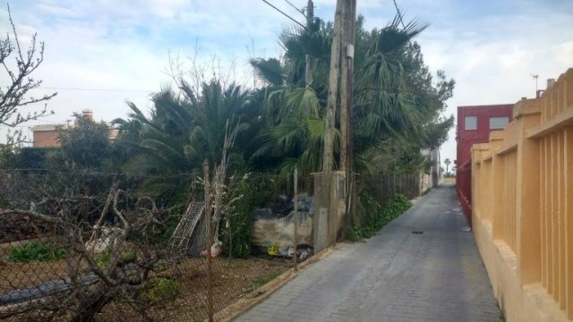 Borriana aprueba el PAI para reordenar una zona de chalés de la playa y asigna las obras a Vonaliv