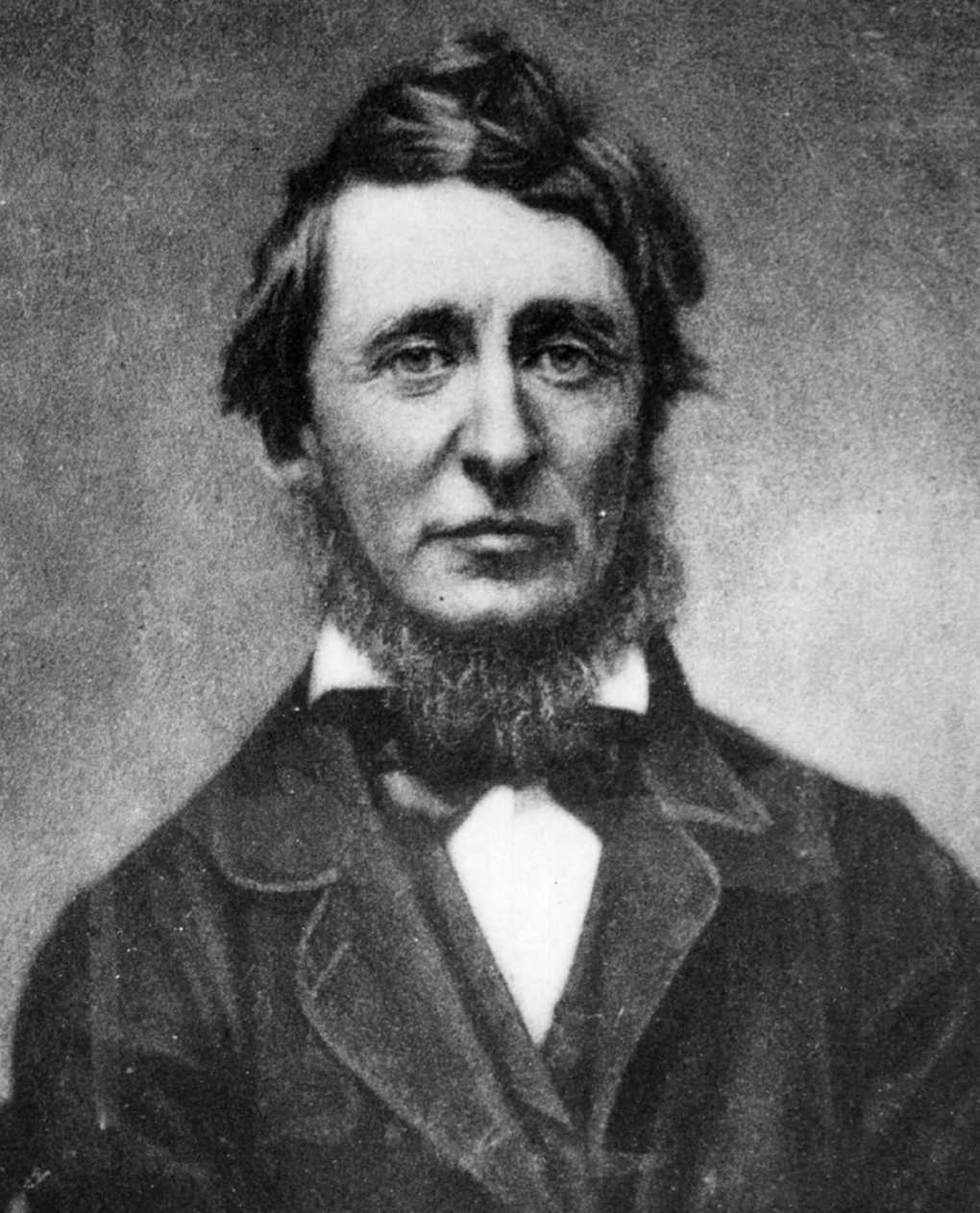 Henry D. Thoreau: 200 años de un diario salvaje