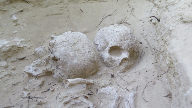 Aparece un 'complejo industrial' del periodo Ibérico tras los trabajos del MARQ en el Cabezo del Molino 
