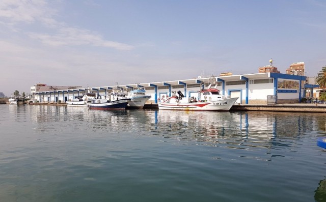 Las barcas de cerco arrojan sardina al mar por el bajo precio y la mitad no faenarán este viernes