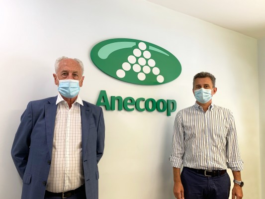 Anecoop se une al Maratón Valencia como primer patrocinador especial por su 40 aniversario