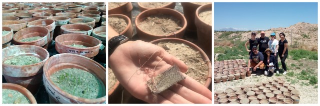 BioplasticLab: hacia la meta de crear un certificado de
biodegradabilidad precisa, útil y completa