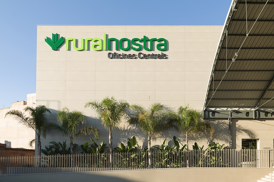 Solo siete de las 30 cajas rurales de la Comunitat Valenciana elevaron su beneficio hasta junio