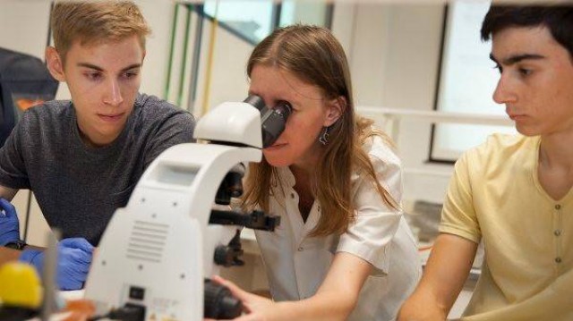 La UJI convoca los premios a la Investigación, la Excelencia Docente y la Iniciativa Emprendedora