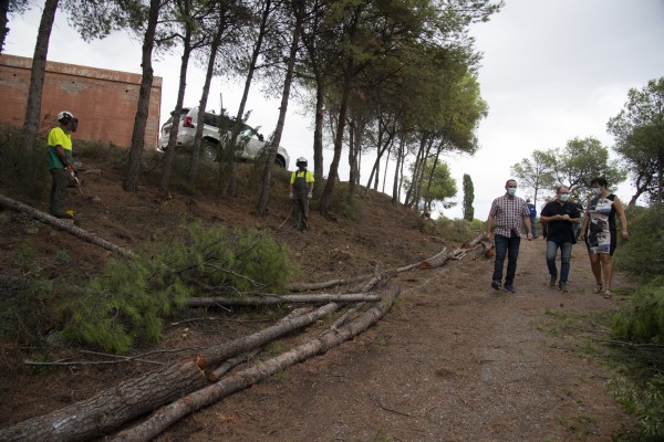Limpian por primera vez en 40 años las zonas forestales de Penyeta Roja para evitar incendios
