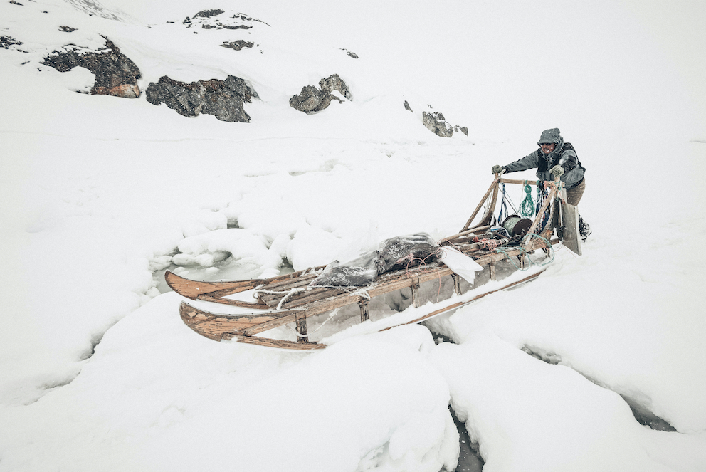 Avanna regresa al campamento, con el trineo cargado de halibut (ROBERTO IVÁN CANO) - 