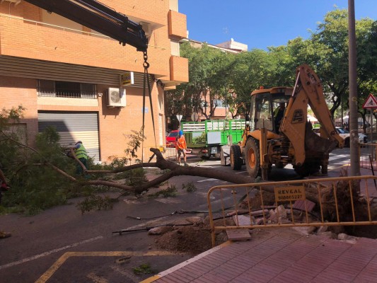 San Vicente inicia las obras de la calle Pelayo; generarán un carril bici y aceras más amplias