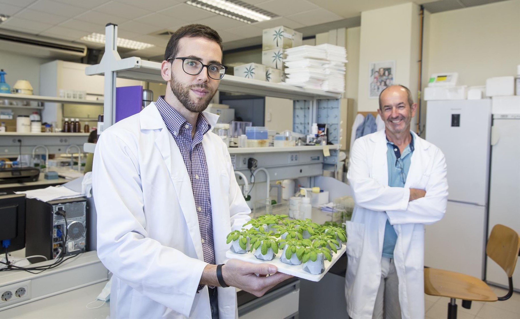 Un estudio de la UJI sienta las bases para lograr cultivos más resistentes a los cambios climáticos