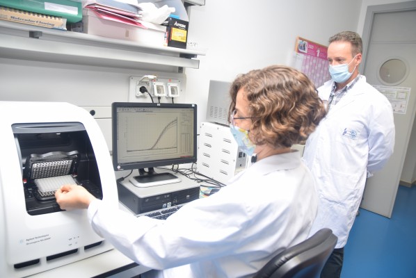 La UPCT comienza a analizar en sus laboratorios test PCR para empresas