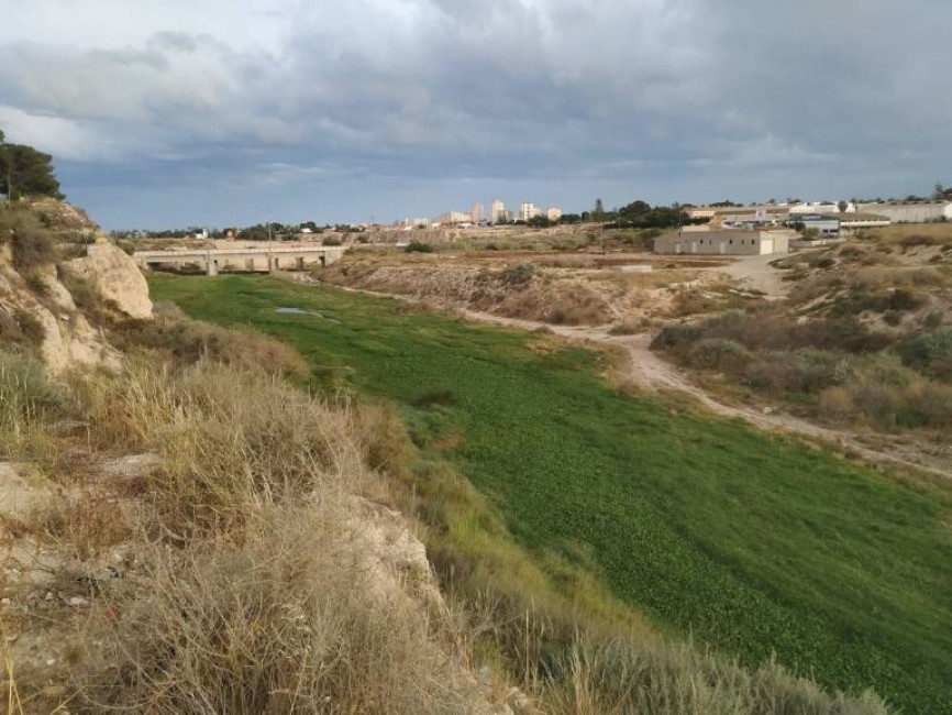 Parte final de Río Monnegre, en El Campello - 
