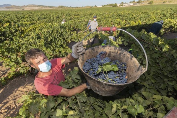 Jumilla, al borde del confinamiento: la incidencia se dispara a 650 casos por cada 100.000 vecinos