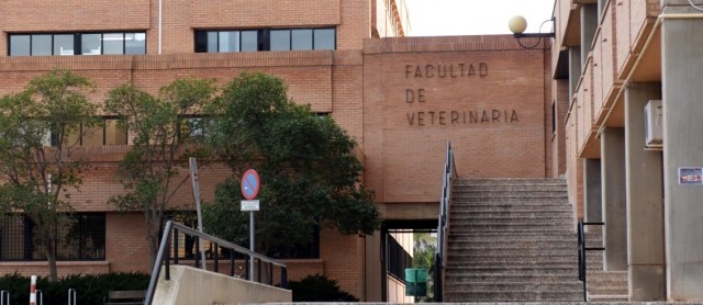 Sello internacional para todos los grados de Veterinaria de la UMU: el último para Tecnología de los Alimentos