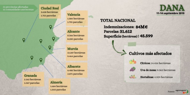 Primer aniversario de la DANA: el mayor siniestro de gota fría en la historia del seguro agrario 